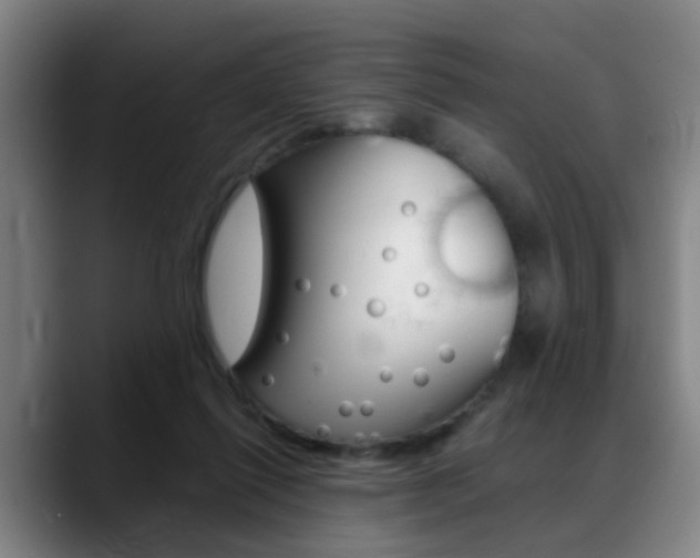 X0000089370262200706150849