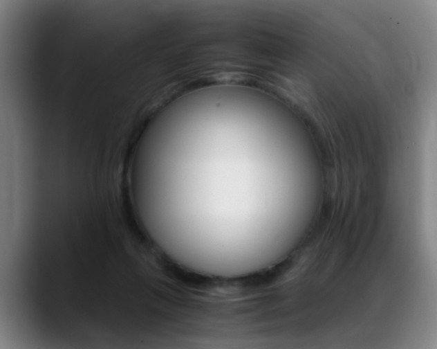 X0000089370263200706150849