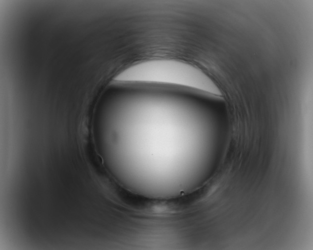 X0000089370264200706150849