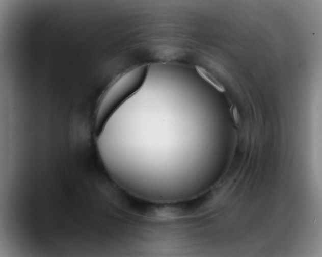 X0000089370268200706150849