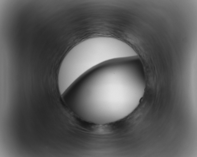 X0000089370273200706150849
