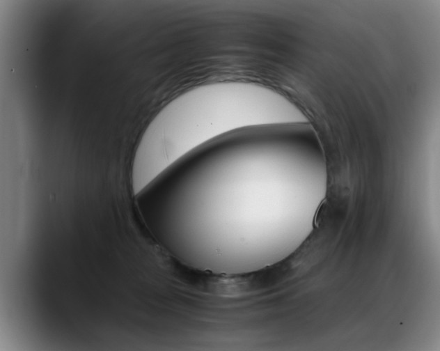 X0000089370277200706150849