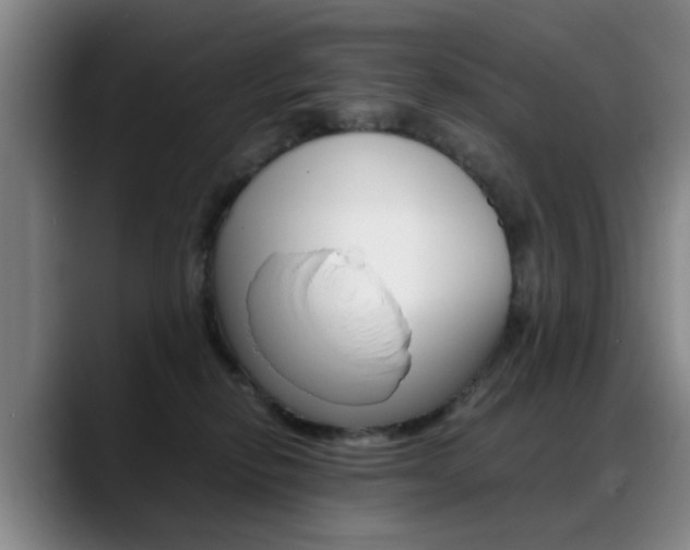 X0000089370278200706150849