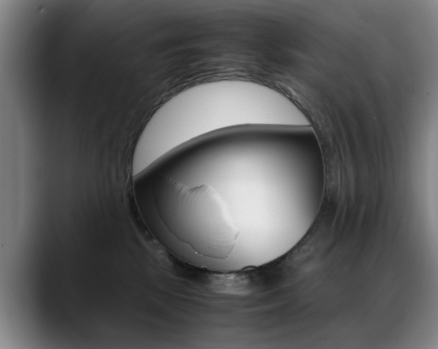 X0000089370281200706150849