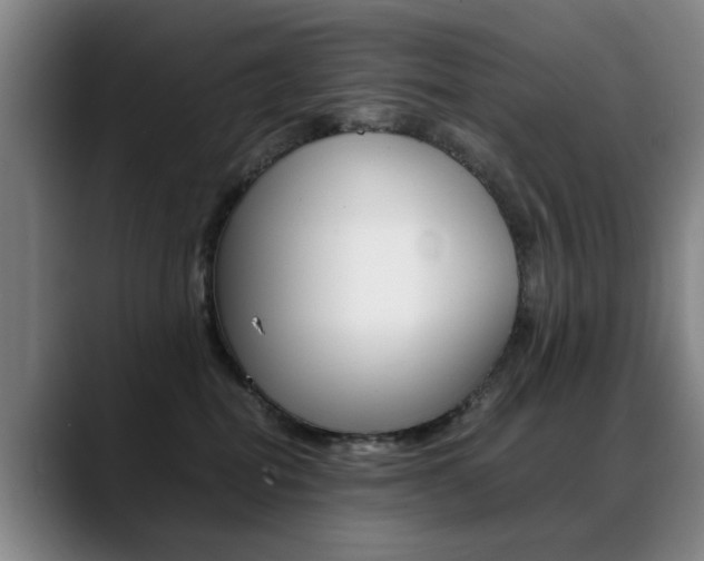 X0000089370282200706150849