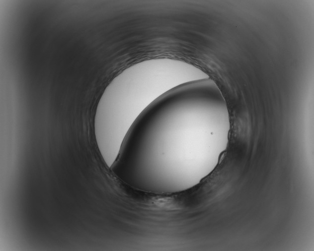 X0000089370283200706150849