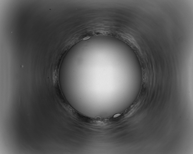X0000089370285200706150849