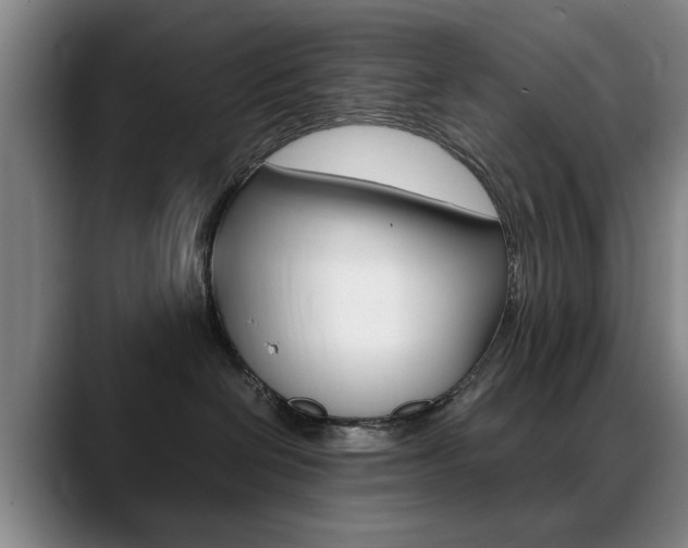 X0000089370286200706150849