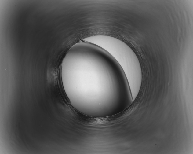 X0000089370288200706150849