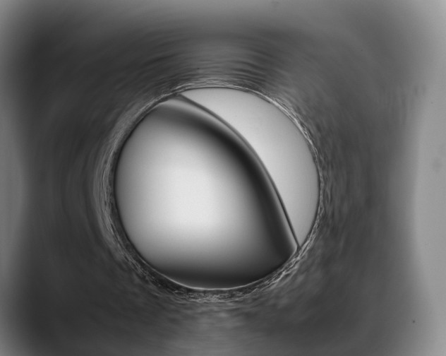 X0000089370289200706150849