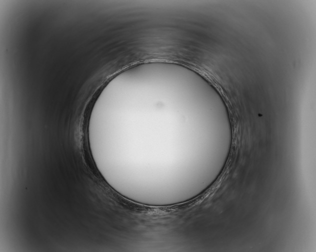X0000089370290200706150849