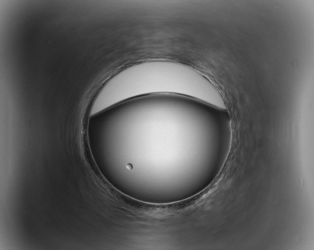 X0000089370293200706150849