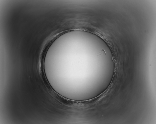 X0000089370294200706150849