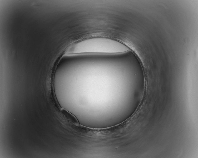 X0000089370297200706150849