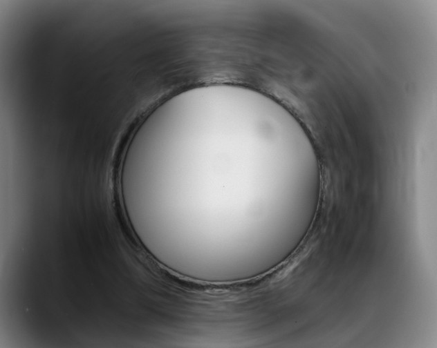 X0000089370298200706150848