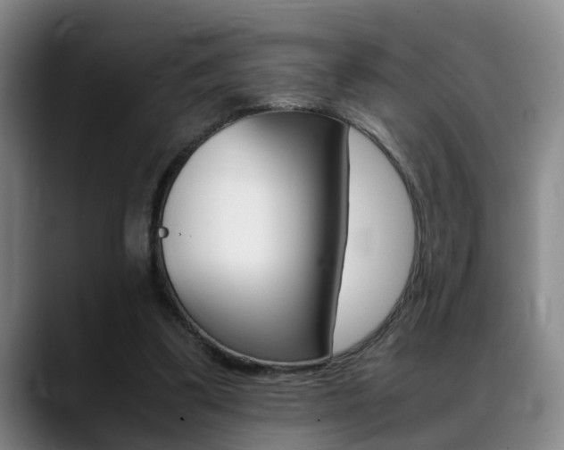 X0000089370299200706150848
