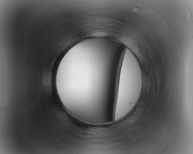 X0000089370300200706150848