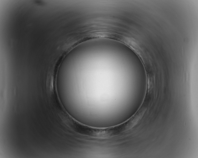 X0000089370301200706150848