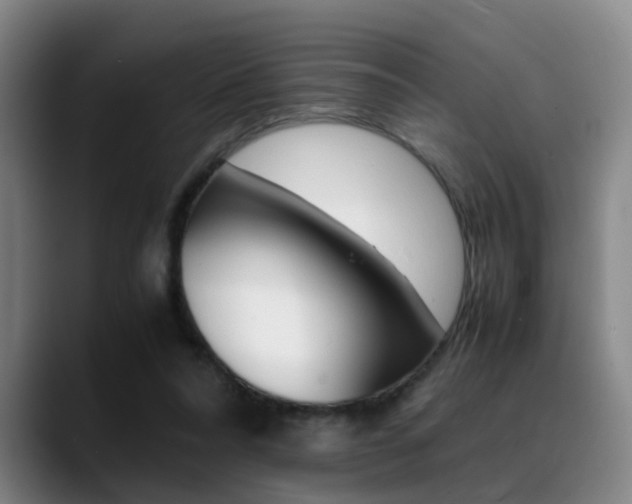 X0000089370304200706150848