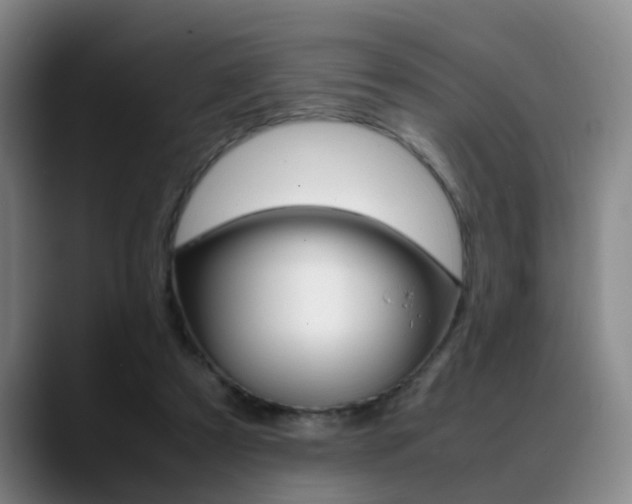 X0000089370305200706150848