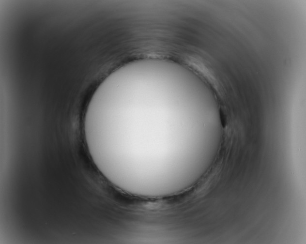 X0000089370306200706150848