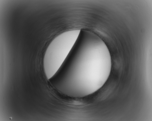 X0000089370308200706150848