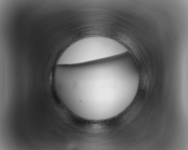 X0000089370310200706150848