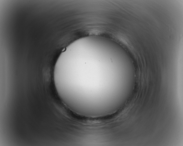 X0000089370311200706150848
