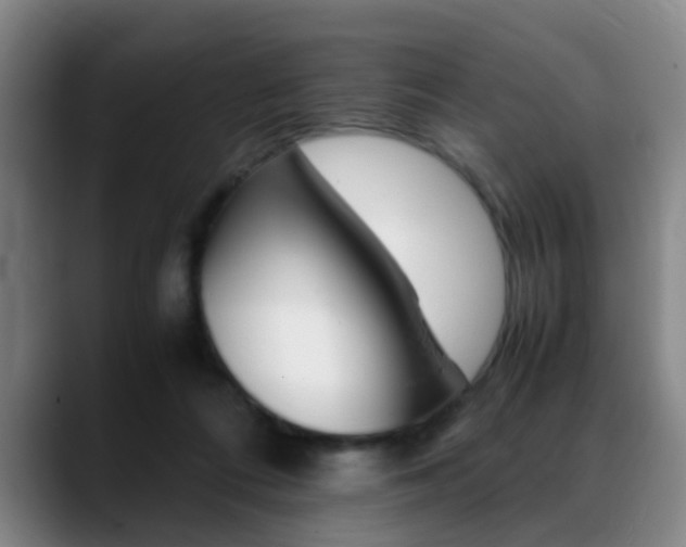 X0000089370312200706150848