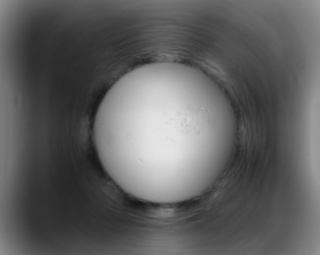 X0000089370318200706150848