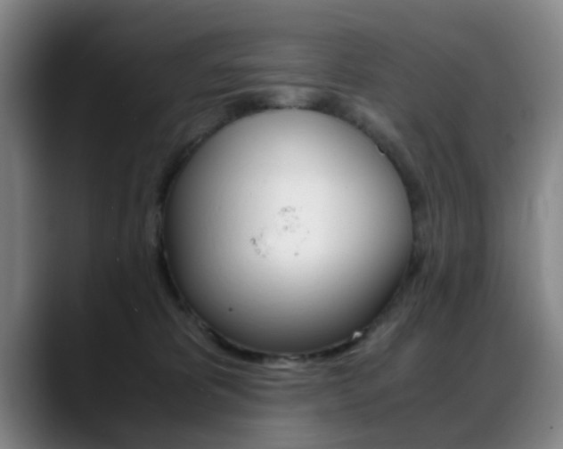 X0000089370325200706150848