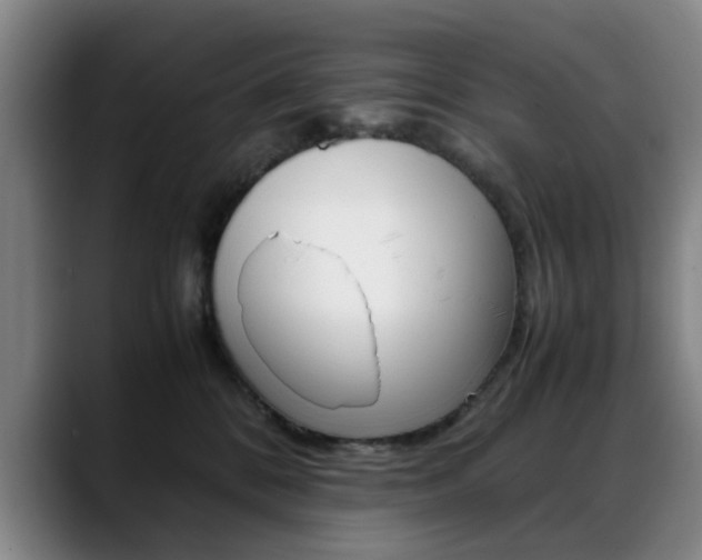 X0000089370328200706150848