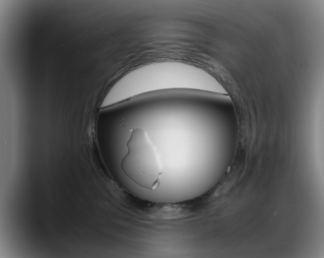 X0000089370329200706150848