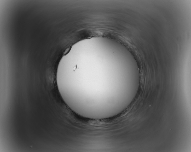 X0000089370331200706150848