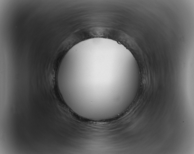 X0000089370332200706150848