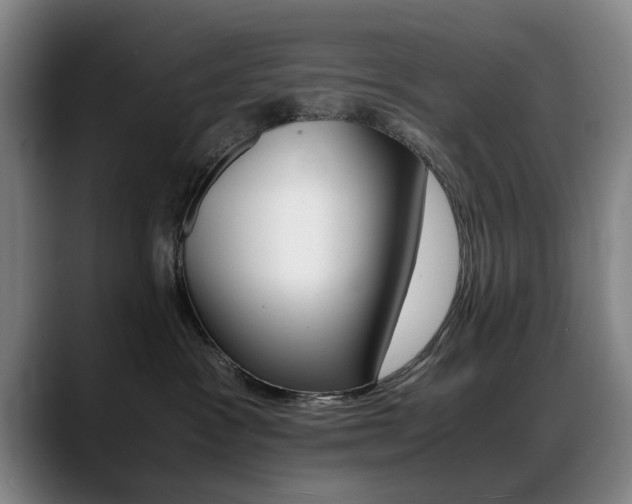 X0000089370333200706150848