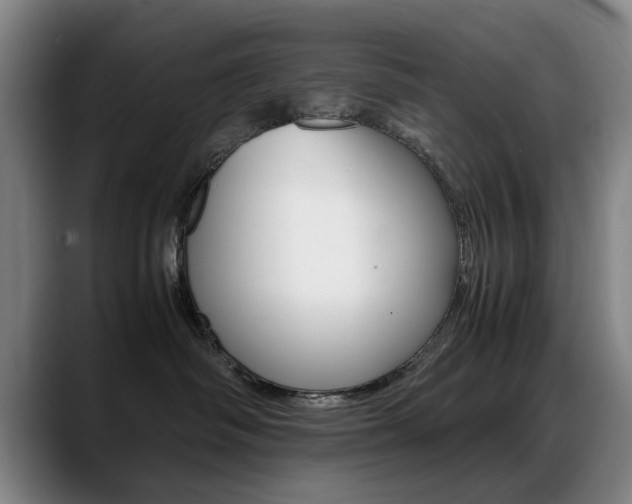X0000089370334200706150848