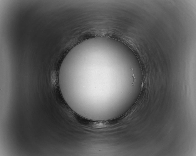 X0000089370335200706150848