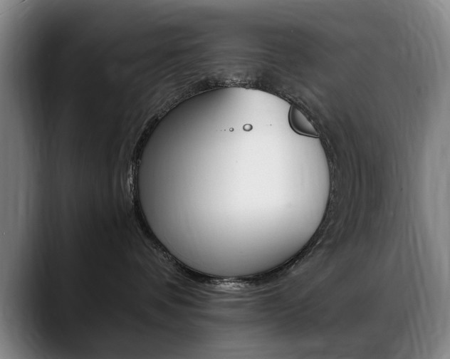 X0000089370336200706150848