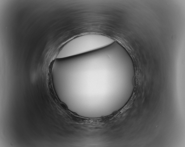 X0000089370338200706150847