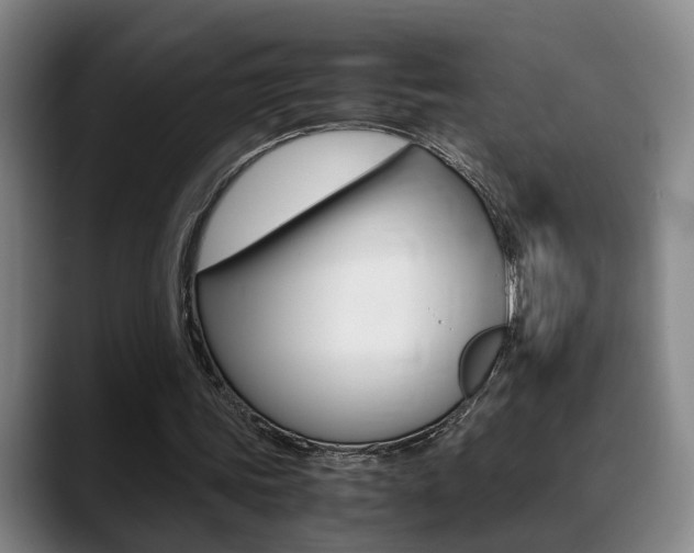 X0000089370339200706150847