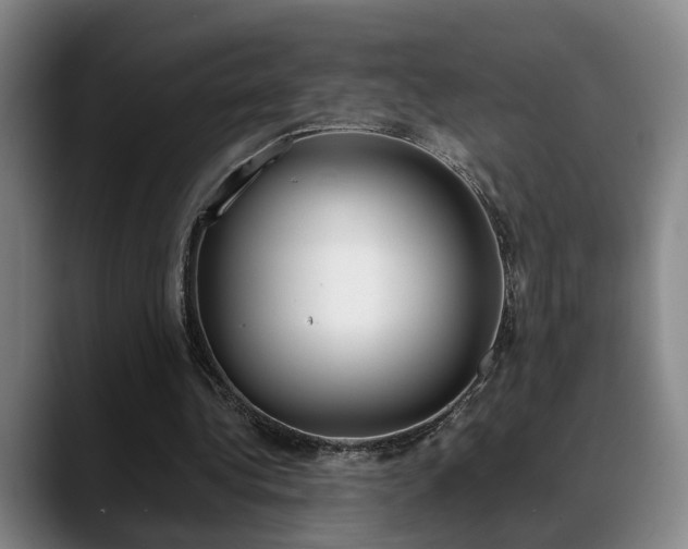 X0000089370340200706150847