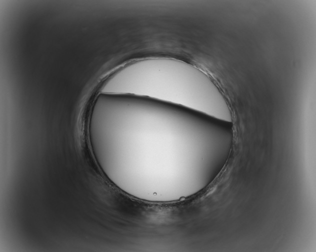 X0000089370343200706150847