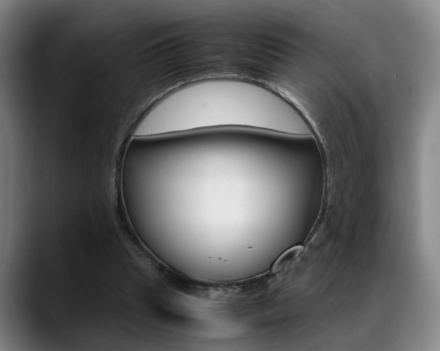 X0000089370345200706150847