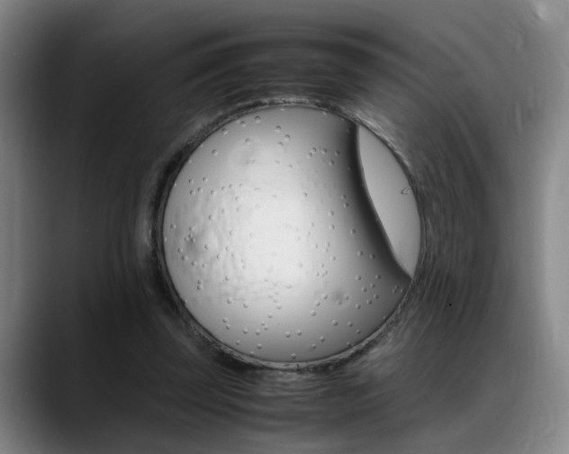 X0000089370347200706150848