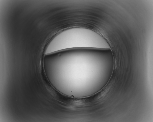 X0000089370349200706150848