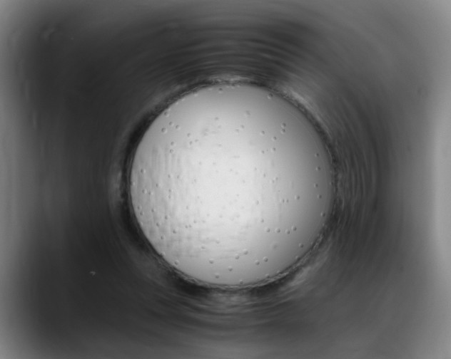 X0000089370351200706150848