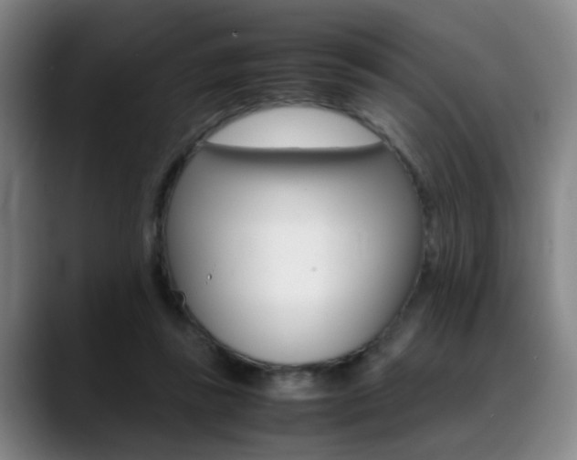 X0000089370355200706150848