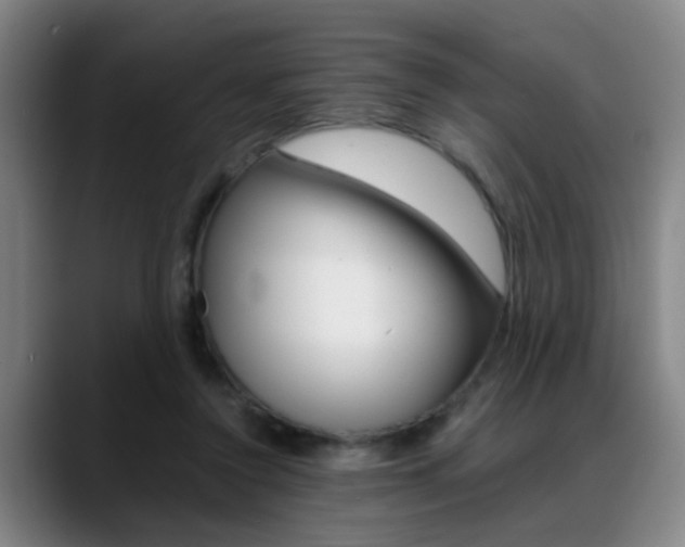 X0000089370356200706150848