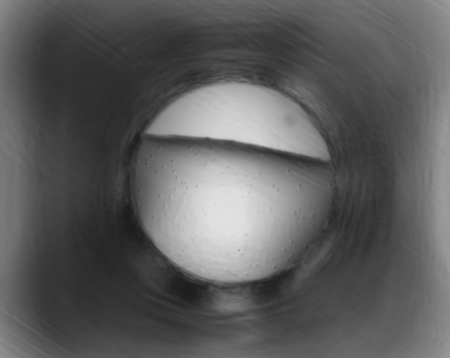 X0000089370359200706150848
